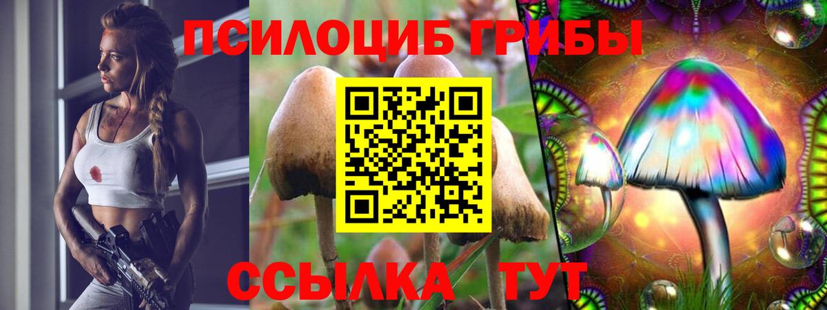 где найти наркотики  Галлюциногенные грибы MAGIC MUSHROOMS  Галлюциногенные грибы MAGIC MUSHROOMS  Вход с VPN  Майкоп 